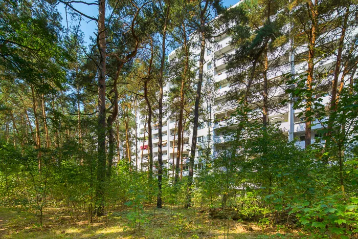 Blick zum Wald — photo 1